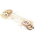 Decoratieve pompoen met