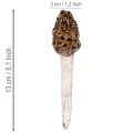 Kunstmatige morieljes als decoratieve stokjes voor plantenpotten en tafel, 13 cm, 2 stuks | Floristik24.nl