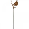 Floristik24 Patina tuindecoratie plug metalen vogel met kroon 6 stuks