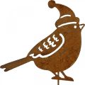Floristik24 Tuinstaak vogel met kap patina decoratie 12cm 6st