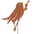 Floristik24 Vogeltuinpaal, verroeste metalen decoratieve paal, 52 cm
