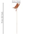 Vogeltuinpaal, verroeste metalen decoratieve paal, 52 cm | Floristik24.nl