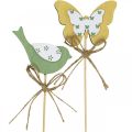 Floristik24 Plug vogel vlinder, hout decoratie, plant plug lente decoratie groen, geel L24/25cm 12st