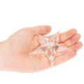 Decoratieve sterornamenten, iriserend transparant acryl, kerstboomversiering, 9 cm, 6 stuks | Floristik24.nl