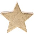 Decoratieve kerststerrenhouder voor op tafel of plank, 10 cm, 3 stuks | Floristik24.nl