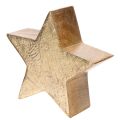 Decoratieve kerststerrenhouder