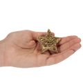 Decoratieve glanzende sterretjes voor tafeldecoratie, 5 cm, 9 stuks | Floristik24.nl