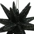 Floristik24 Kerstdecoratie sterren om op te hangen zwart Ø7.5cm 8st