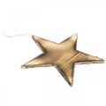 Floristik24 Houten ster om op te hangen naturel gevlamde kerstdecoratie 20cm