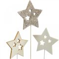 Floristik24 Bloemsteker sterren, advent, bloemdecoratie, houten sterren natuur, wit, goud glitter L27 / 28.5cm 18st