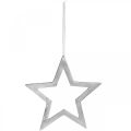 Floristik24 Decoratieve ster om op te hangen zilver aluminium deurdecoratie Ø28cm