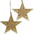 Floristik24 Ster mangohout naturel, gouden houten ster groot om op te hangen 25cm 2st