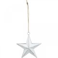 Floristik24 Metalen ster om op te hangen, Kersthanger, Adventdecoratie wit, Shabby Chic 11 × 11cm