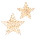 Floristik24 Decoratieve sterrenset van draad, twee maten, 10 cm, 12 stuks