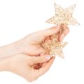 Decoratieve sterrenset van draad, twee maten, 10 cm, 12 stuks | Floristik24.nl