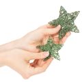 Decoratieve groene draadsterrenset, twee maten, 10 cm, 12 stuks | Floristik24.nl