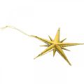 Floristik24 Kerstdecoratie sterhanger goud B11,5cm 16st