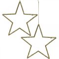 Floristik24 Kerstdecoratie ster hanger gouden glitter 12cm 12st