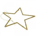 Floristik24 Kerstdecoratie ster hanger gouden glitter 17,5cm 9st