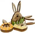Nestdecoratie konijn in ei, cadeau-decoratie, konijn-ei om te versieren, houtdecoratie om op te plakken 12st