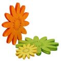 Floristik24 Scatter decoratie houten bloemen assortiment 3-kleurig 72st