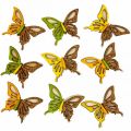 Floristik24 Strooidecoratie vlinders hout groen/geel/oranje 3×4cm 24st