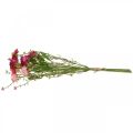 Rhodanthe roze-roze, zijden bloemen, kunstplant, bos strobloemen L46cm