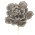 Floristik24 Kunstmatige vetplant van was met draad, 8 cm, 8 stuks