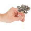 Kunstmatige vetplant van was met draad, 8 cm, 8 stuks | Floristik24.nl