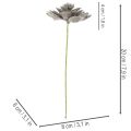 Kunstmatige vetplant van was met draad, 8 cm, 8 stuks | Floristik24.nl
