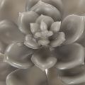Kunstmatige vetplant van was met draad, 8 cm, 8 stuks | Floristik24.nl