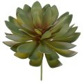 Floristik24 Kunstmatige vetplant als decoratieve plant, groen, 18 cm, 3 stuks