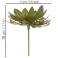Kunstmatige vetplant als decoratieve plant, groen, 18 cm, 3 stuks | Floristik24.nl