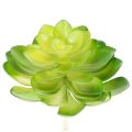 Floristik24 Kunstmatige vetplant, groen, voor decoratie in een schaal of vaas, 10 cm, 4 stuks