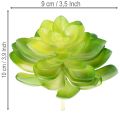 Kunstmatige vetplant, groen, voor decoratie in een schaal of vaas, 10 cm, 4 stuks | Floristik24.nl