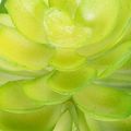 Kunstmatige vetplant, groen, voor decoratie in een schaal of vaas, 10 cm, 4 stuks | Floristik24.nl