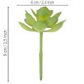 Kunstmatige groene vetplant als decoratie voor creatieve arrangementen. | Floristik24.nl
