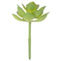 Kunstmatige groene vetplant als decoratie voor creatieve arrangementen. | Floristik24.nl