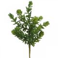 Floristik24 Succulente groene kunstplant om te plakken 25cm groen 2st