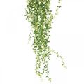 Floristik24 Succulente kunsthangplant groen 96cm