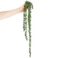 Hangende slinger van kunstplanten met vetplanten als decoratie voor de woonkamer | Floristik24.nl