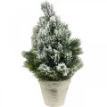 Floristik24 Mini kerstboom in een kunstmatig besneeuwde pot Ø18cm H32cm