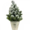 Floristik24 Mini kerstboom in een kunstmatig besneeuwde pot Ø18cm H32cm