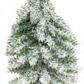 Floristik24 Decoratieve kerstboom, winterdecoratie, dennenboom met sneeuw H19cm
