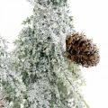 Floristik24 Dennenbomen met sneeuw, adventsdecoratie, winterbos L16.5cm H28cm