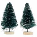Floristik24 Mini spar besneeuwd, winterdecoratie, kerstboom H9.5cm Ø5cm 2st