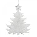 Floristik24 Kerstboomhanger, adventsdecoratie, metalen decoratie voor Kerstmis, zilver 20,5×15,5cm