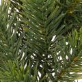 Kunstmatige dennenkrans in groen voor deurdecoratie, 35 cm | Floristik24.nl