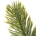 Kunstmatige groene dennentakken voor winterdecoratie, 25 cm, 24 stuks | Floristik24.nl