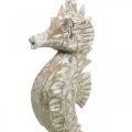 Floristik24 Seahorse Deco Wit Hout Maritieme Decoratie Deco Figuur H38cm
